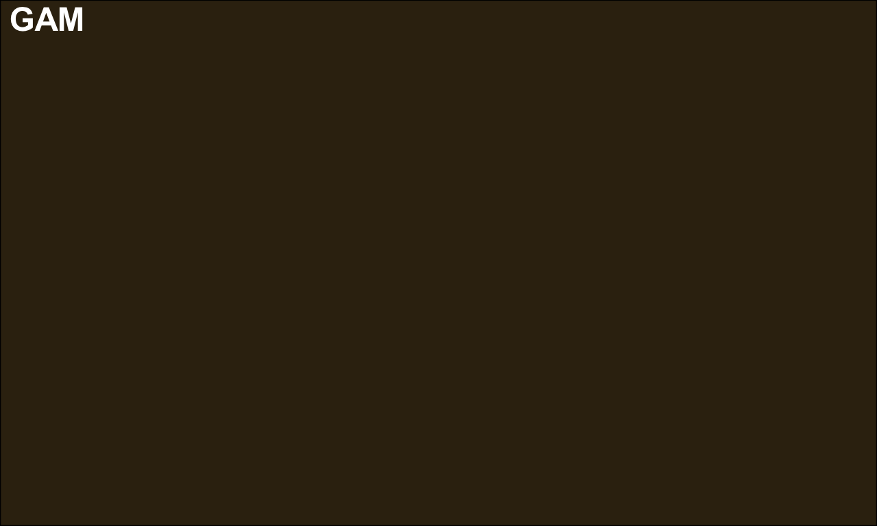 GAM
